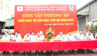 Các đồng chí đại biểu tham gia dự và chỉ đạo buổi diễn tập