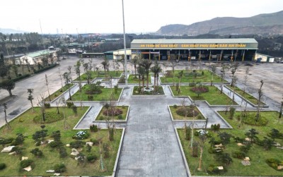 Khuôn viên được cải tạo từ sân bê tông hấp thụ nhiệt thành không gian xanh mát, trồng nhiều loại cây phù hợp