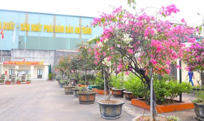 Phân xưởng Sàng tuyển lớn lên cùng Công ty Tuyển than Hòn Gai