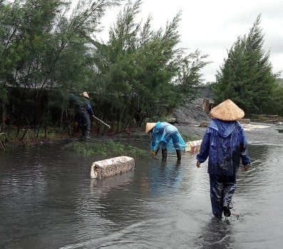 Công tác chặt phát cành cây xanh và khơi thông các rãnh để đảm bảo không bị ngập úng