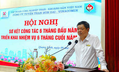 Đồng chí Phạm Hồng Thanh   Bí thư Đảng ủy, Giám đốc Công ty phát biểu kết luận Hội nghị
